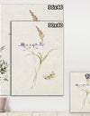 Wild Simple Wallflowers I - Farmhouse Gallery-wrapped Canvas