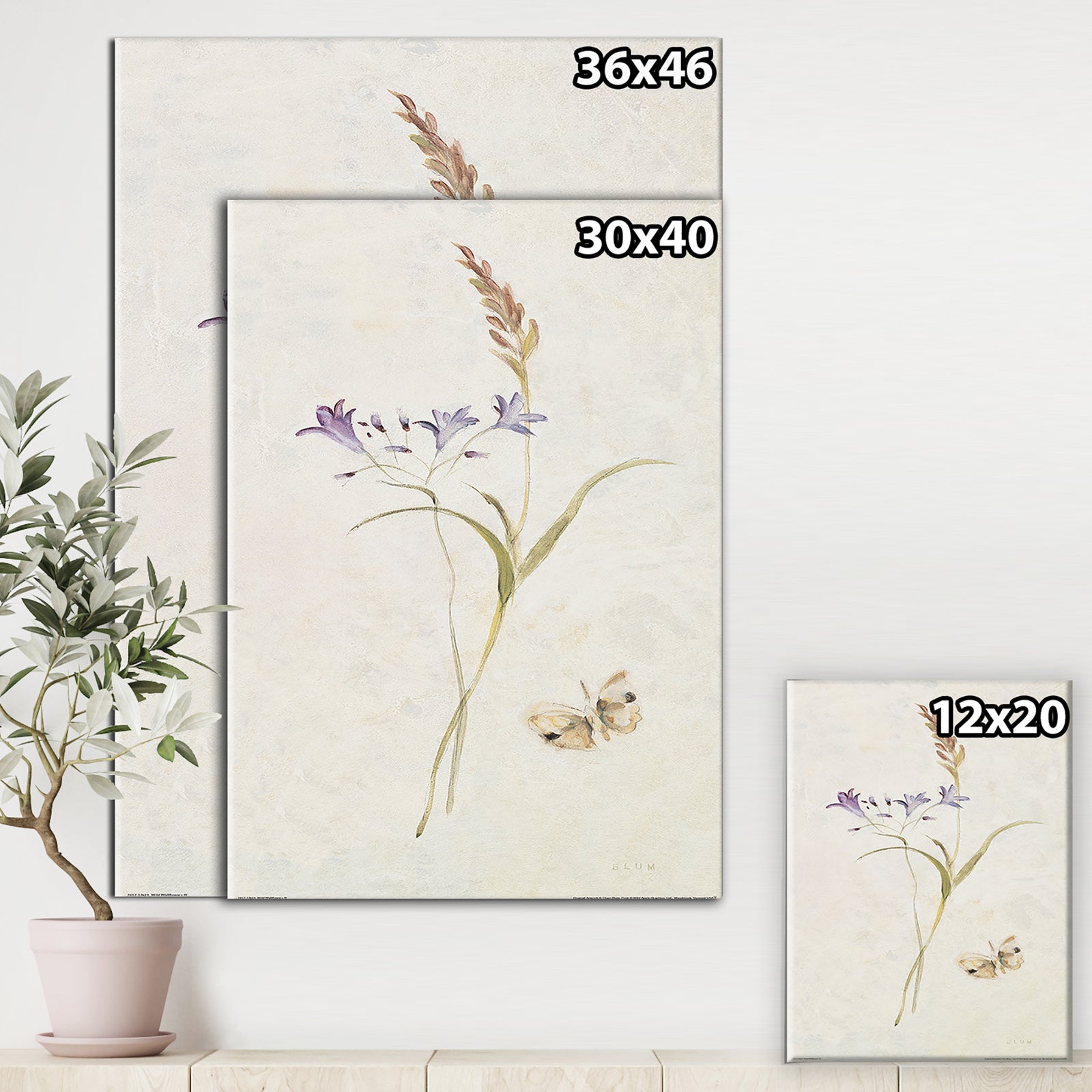Wild Simple Wallflowers I - Farmhouse Gallery-wrapped Canvas