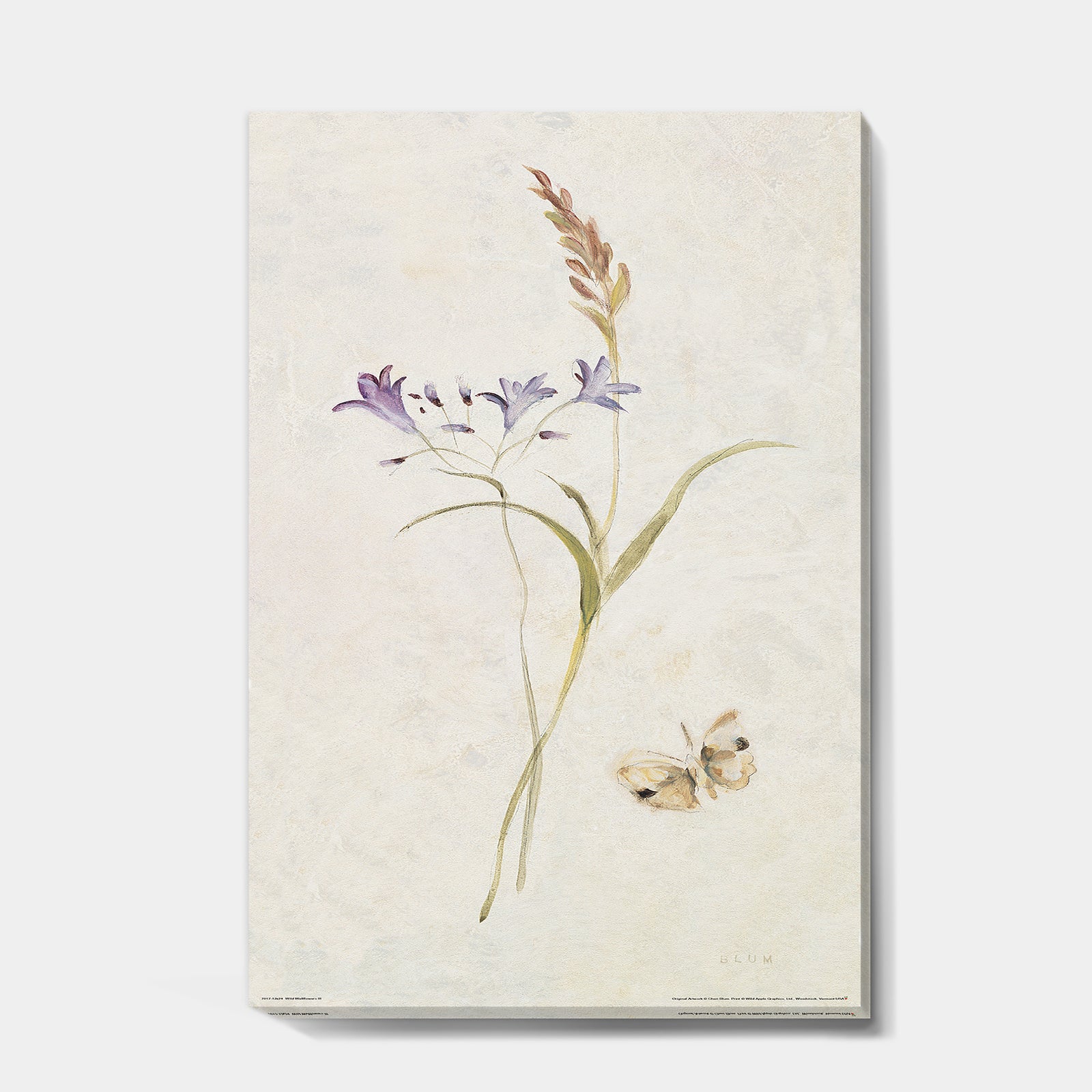 Wild Simple Wallflowers I - Farmhouse Gallery-wrapped Canvas