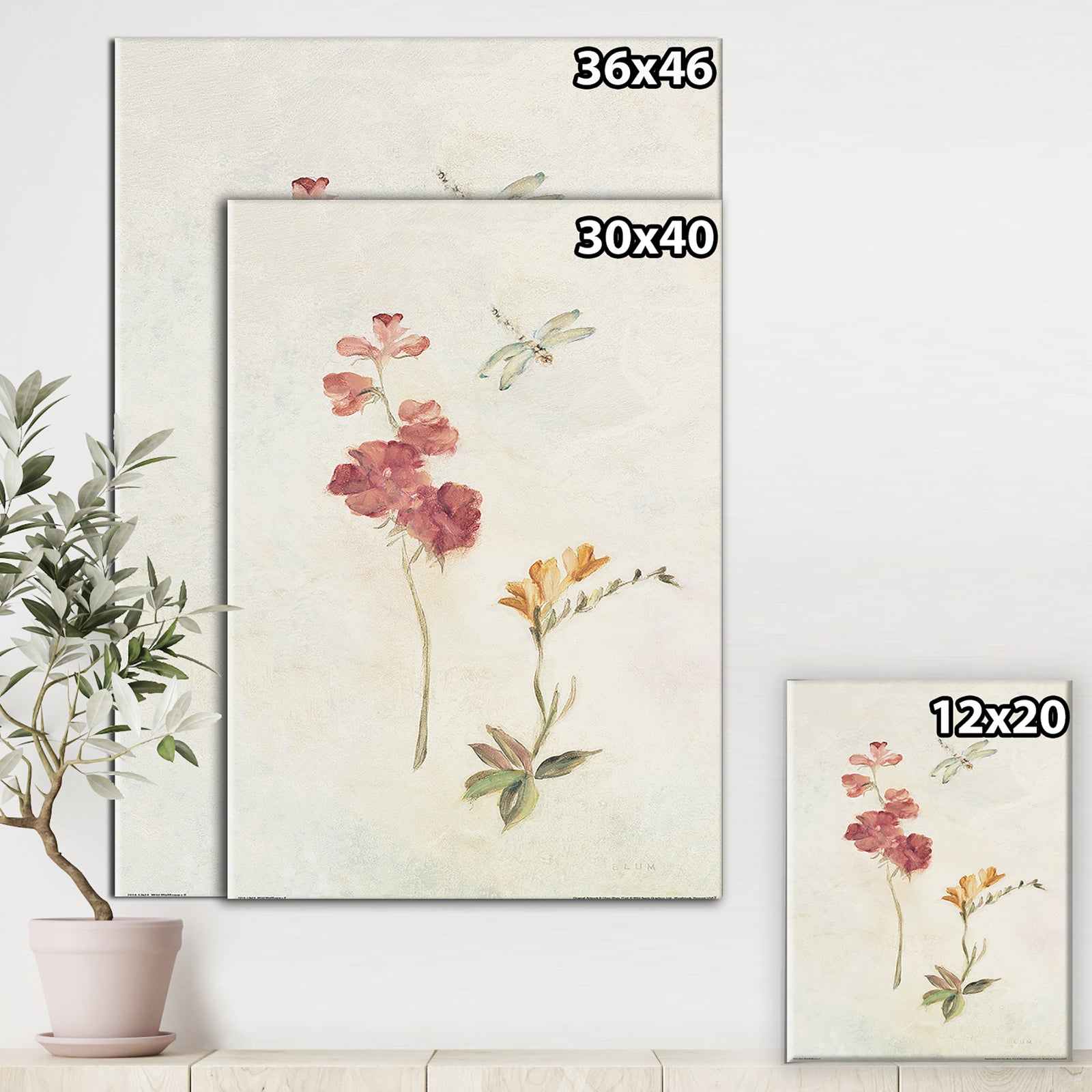 Wild Simple Wallflowers II - Farmhouse Canvas Artwork