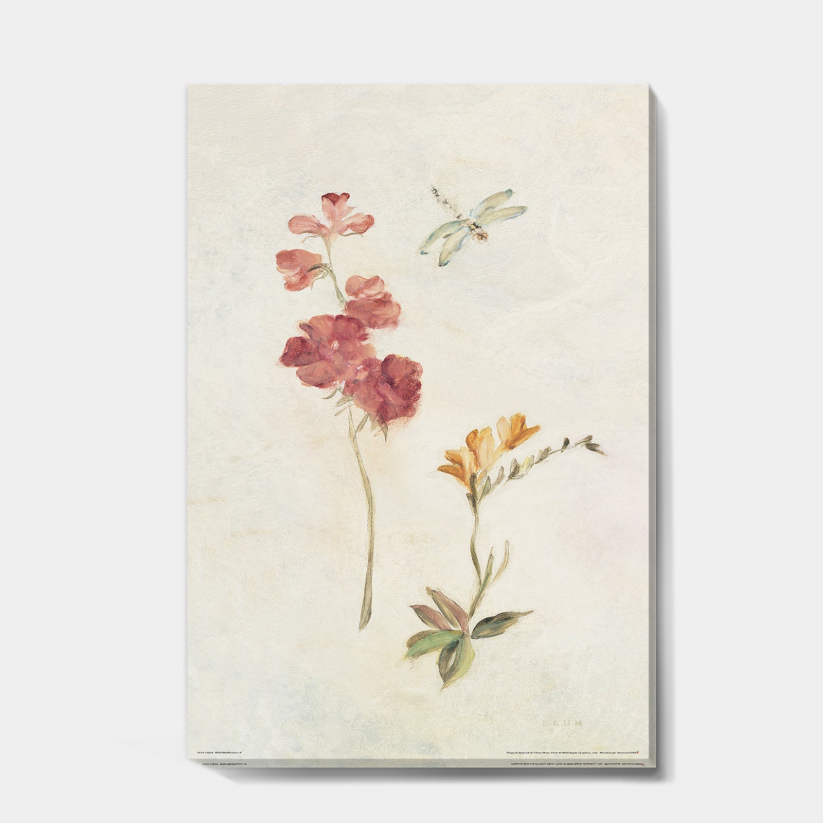Wild Simple Wallflowers II - Farmhouse Canvas Artwork