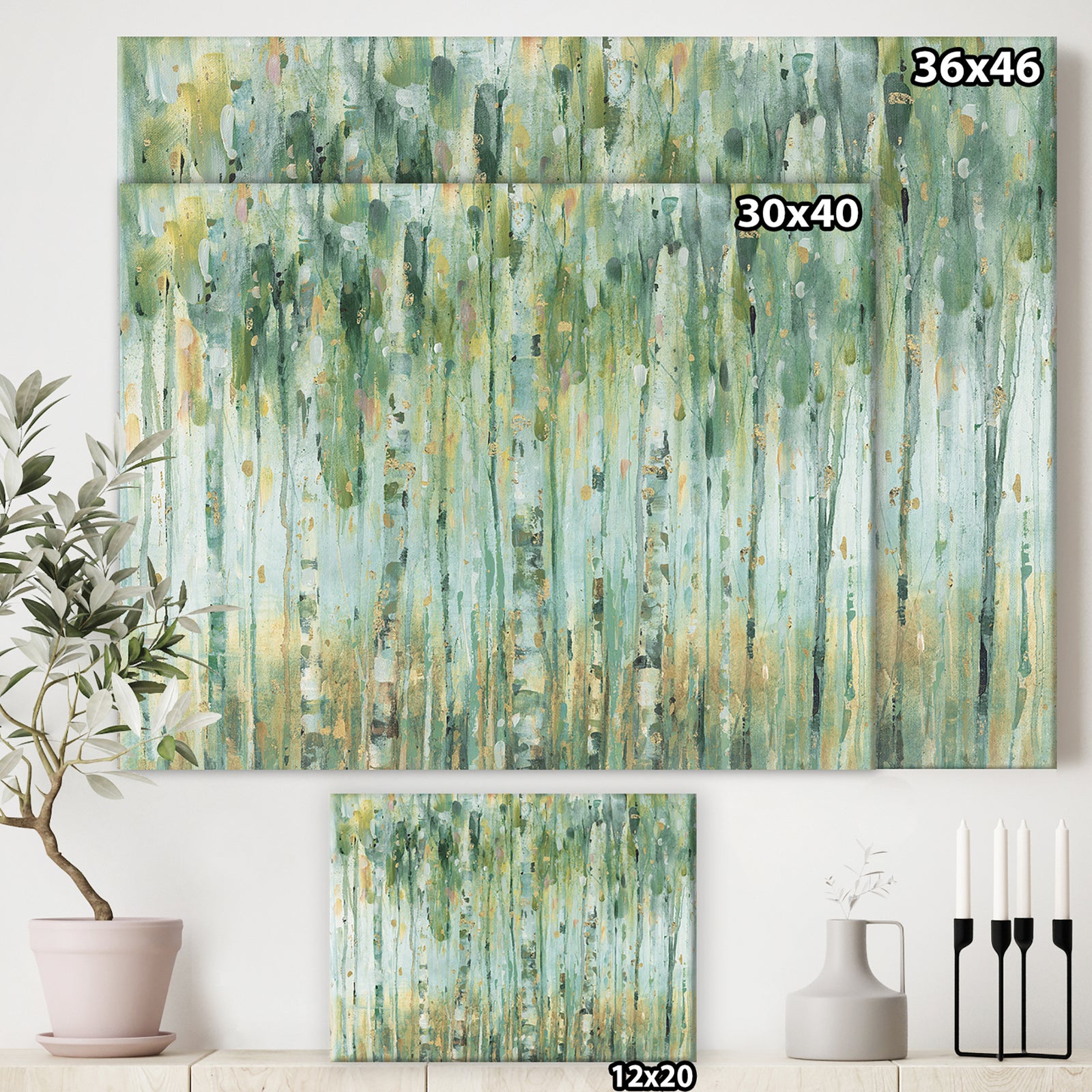 The birch Forest II - Traditional Canvas Artwork