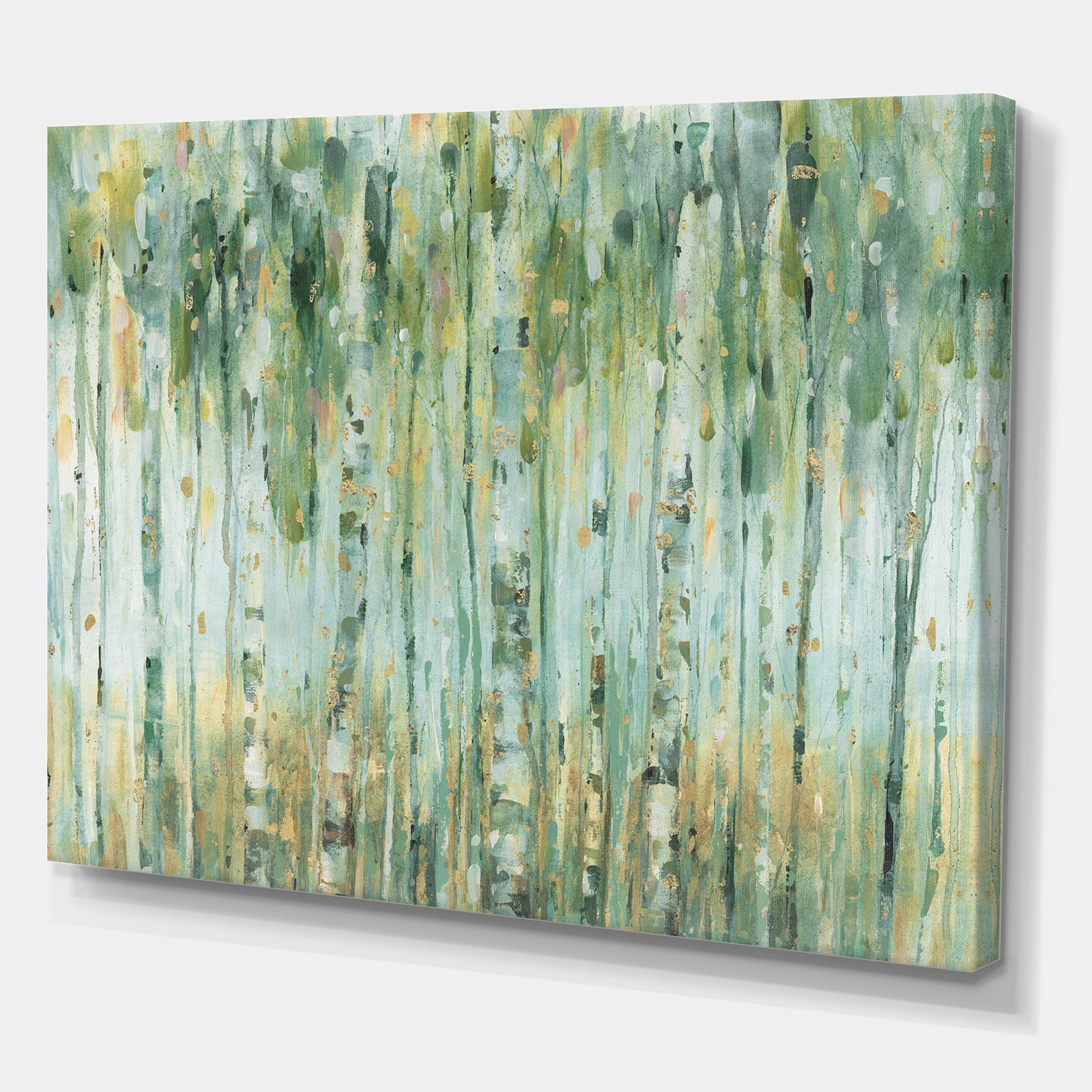 The birch Forest II - Traditional Canvas Artwork