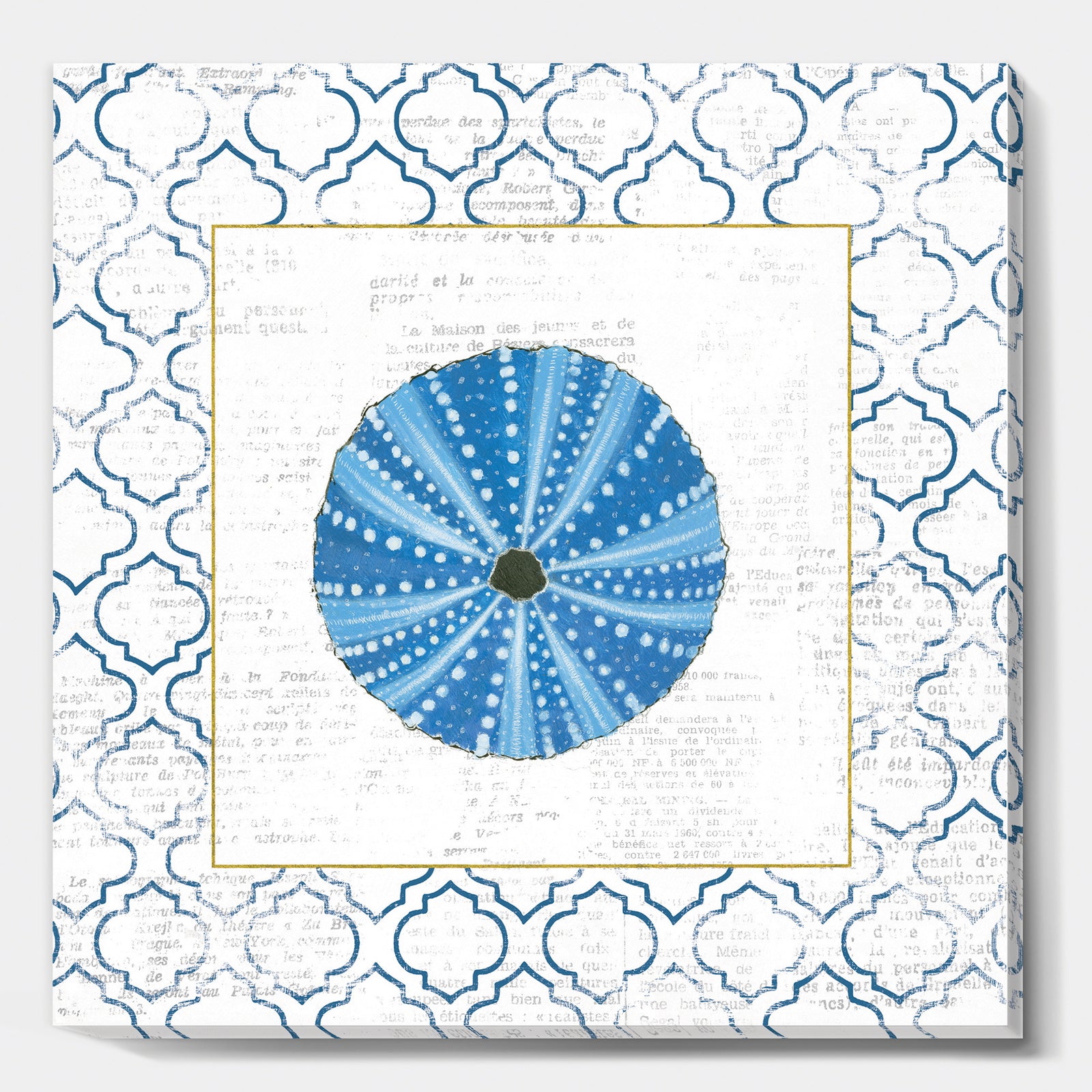 Blue Conch Shell On Blue Coastal Pattern - Nautical & Coastal Gallery-wrapped Canvas