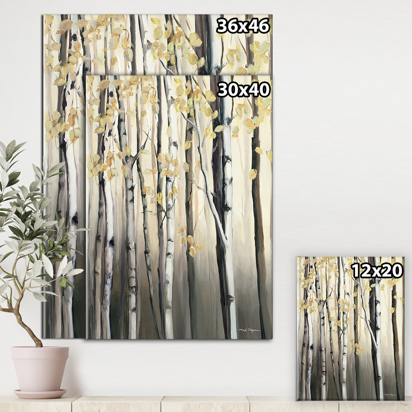 Golden Birch Forest IV - Canvas Artwork