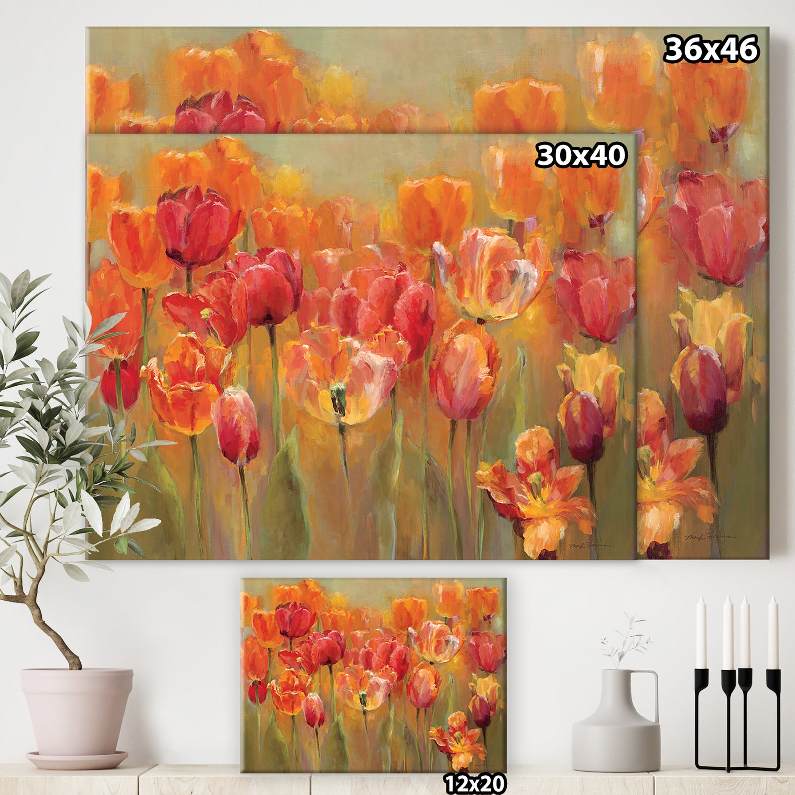 Red Tulips - Traditional Gallery-wrapped Canvas