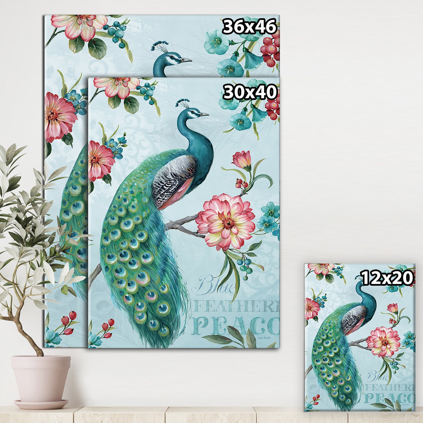 Peacock - Canvas Artwork