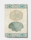 Seastar and Blue Sea Shell II - Nautical & Coastal Premium Canvas Wall Art