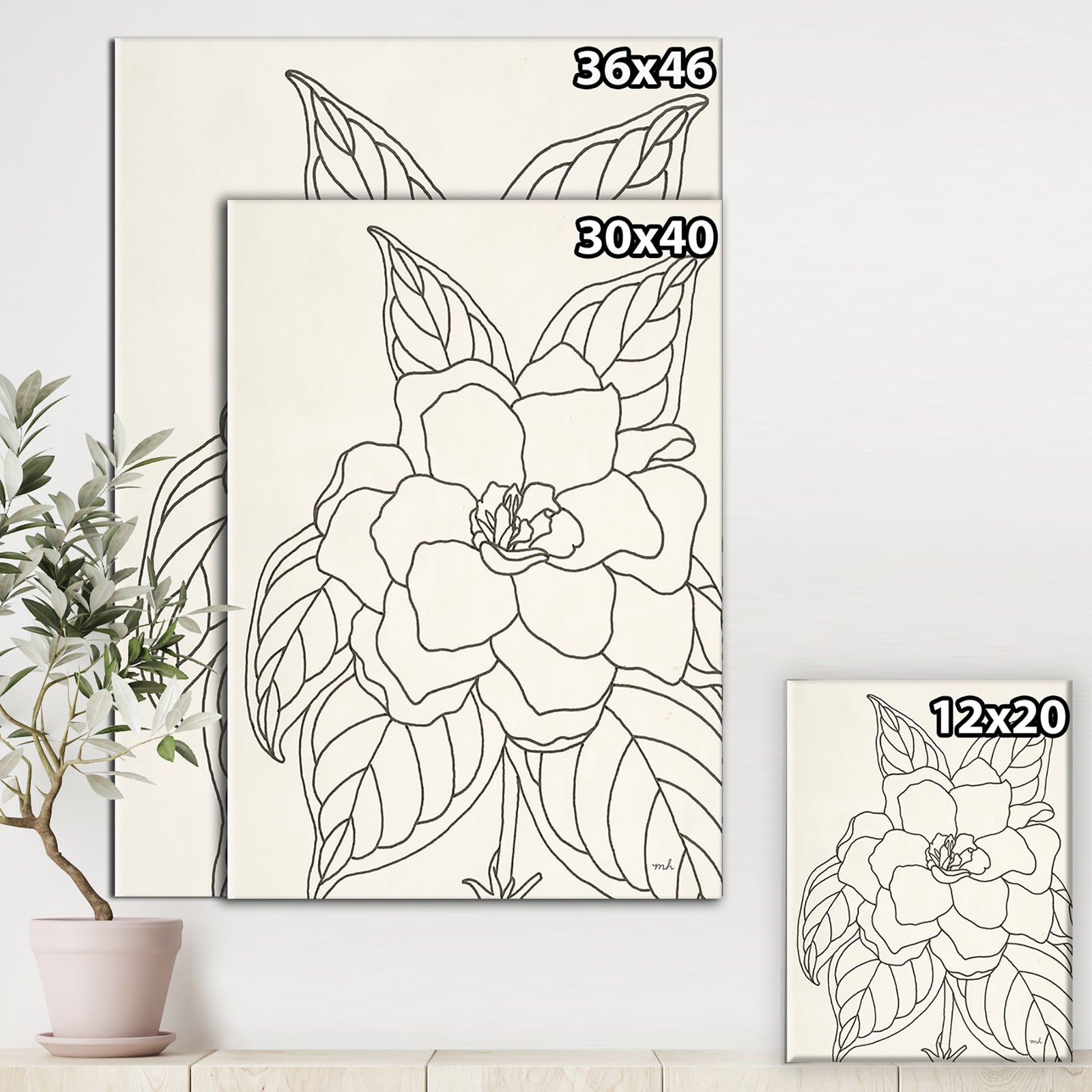 Gardenia Line Drawing Crop - Cottage Canvas Wall Art