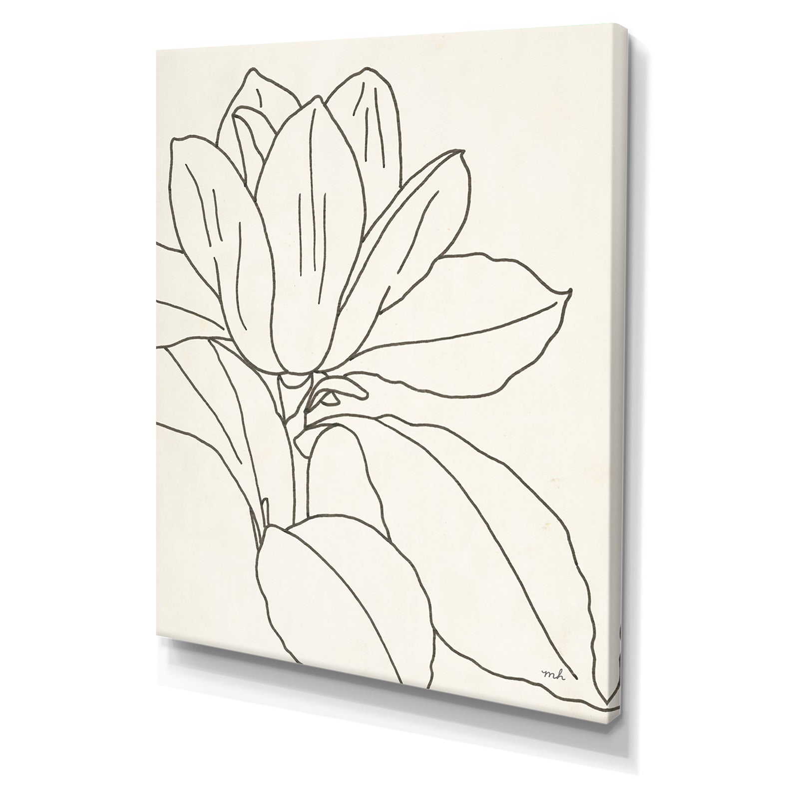 Magnolia Line Drawing v Crop - Cottage Canvas Wall Art