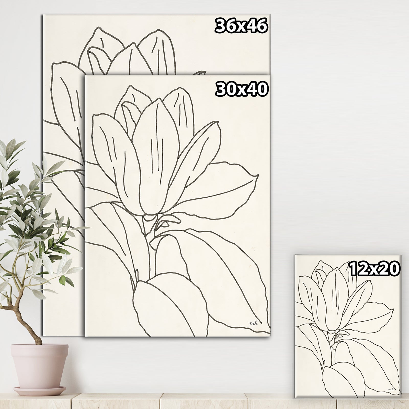 Magnolia Line Drawing v Crop - Cottage Canvas Wall Art