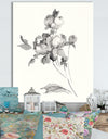 Peony Blossoms Gray - Cottage Canvas Wall Art
