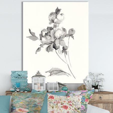 Peony Blossoms Gray - Cottage Canvas Wall Art