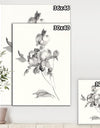 Peony Blossoms Gray - Cottage Canvas Wall Art