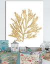 Pacific Sea Mosses I Gold - Cottage Canvas Wall Art