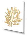 Pacific Sea Mosses I Gold - Cottage Canvas Wall Art