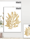 Pacific Sea Mosses I Gold - Cottage Canvas Wall Art