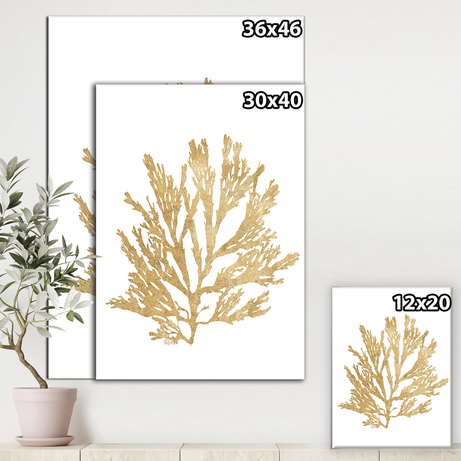 Pacific Sea Mosses I Gold - Cottage Canvas Wall Art