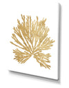 Pacific Sea Mosses II Gold - Cottage Canvas Wall Art