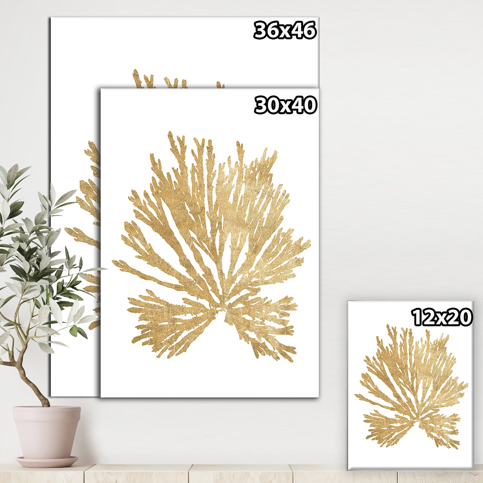Pacific Sea Mosses II Gold - Cottage Canvas Wall Art