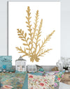 Pacific Sea Mosses III Gold - Cottage Canvas Wall Art