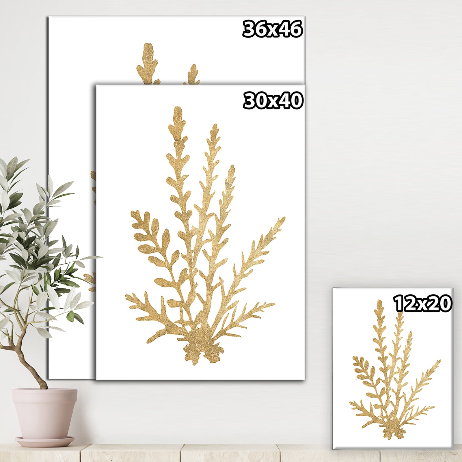 Pacific Sea Mosses III Gold - Cottage Canvas Wall Art