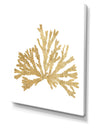 Porch Den 'Pacific Sea Mosses IV Gold - Cottage Canvas Wall Art