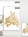 Porch Den 'Pacific Sea Mosses IV Gold - Cottage Canvas Wall Art