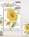 White Barn Flowers I - Cottage Canvas Wall Art