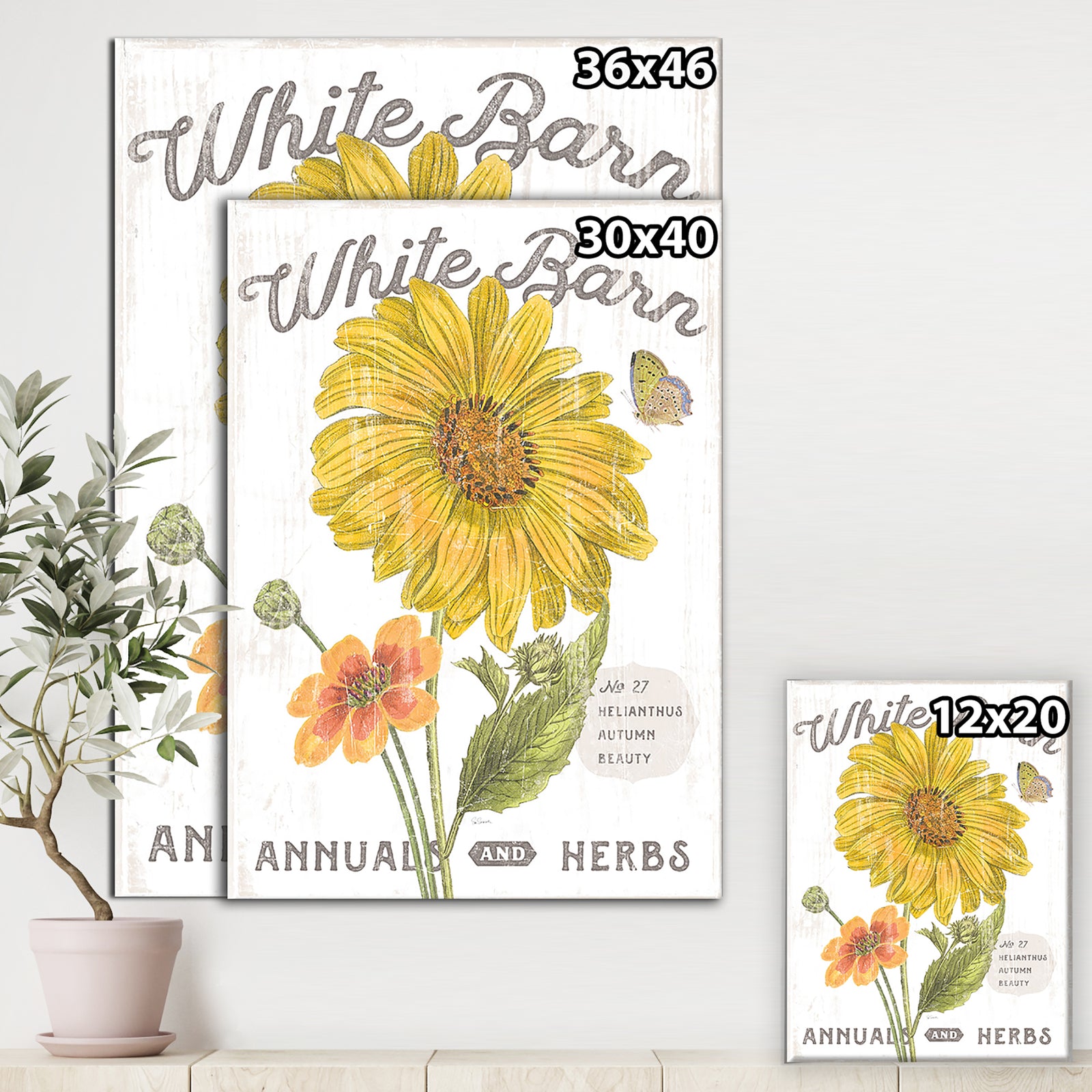 White Barn Flowers I - Cottage Canvas Wall Art