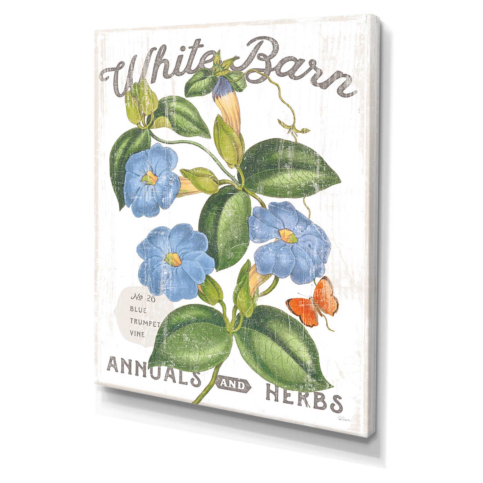 White Barn Flowers II - Cottage Canvas Wall Art