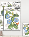 White Barn Flowers II - Cottage Canvas Wall Art