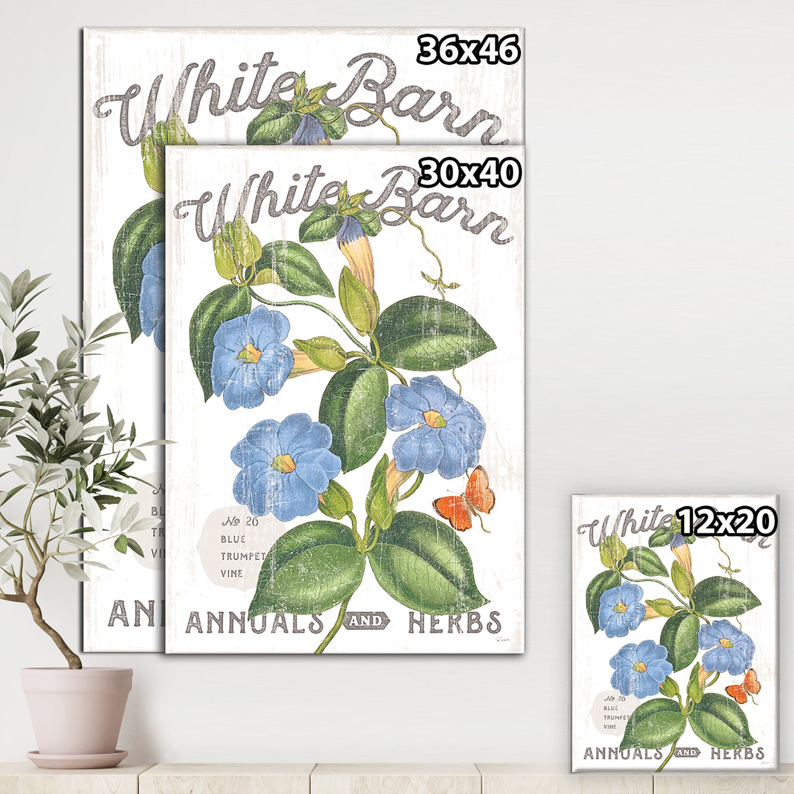 White Barn Flowers II - Cottage Canvas Wall Art