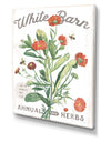 White Barn Flowers IV - Cottage Canvas Wall Art