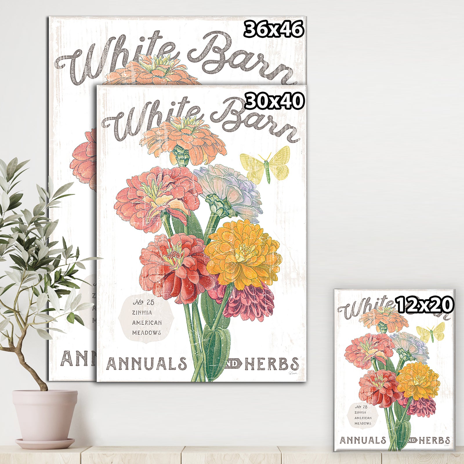 White Barn Flowers V - Cottage Canvas Wall Art