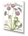 White Barn Flowers VI - Cottage Canvas Wall Art