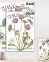 White Barn Flowers VI - Cottage Canvas Wall Art