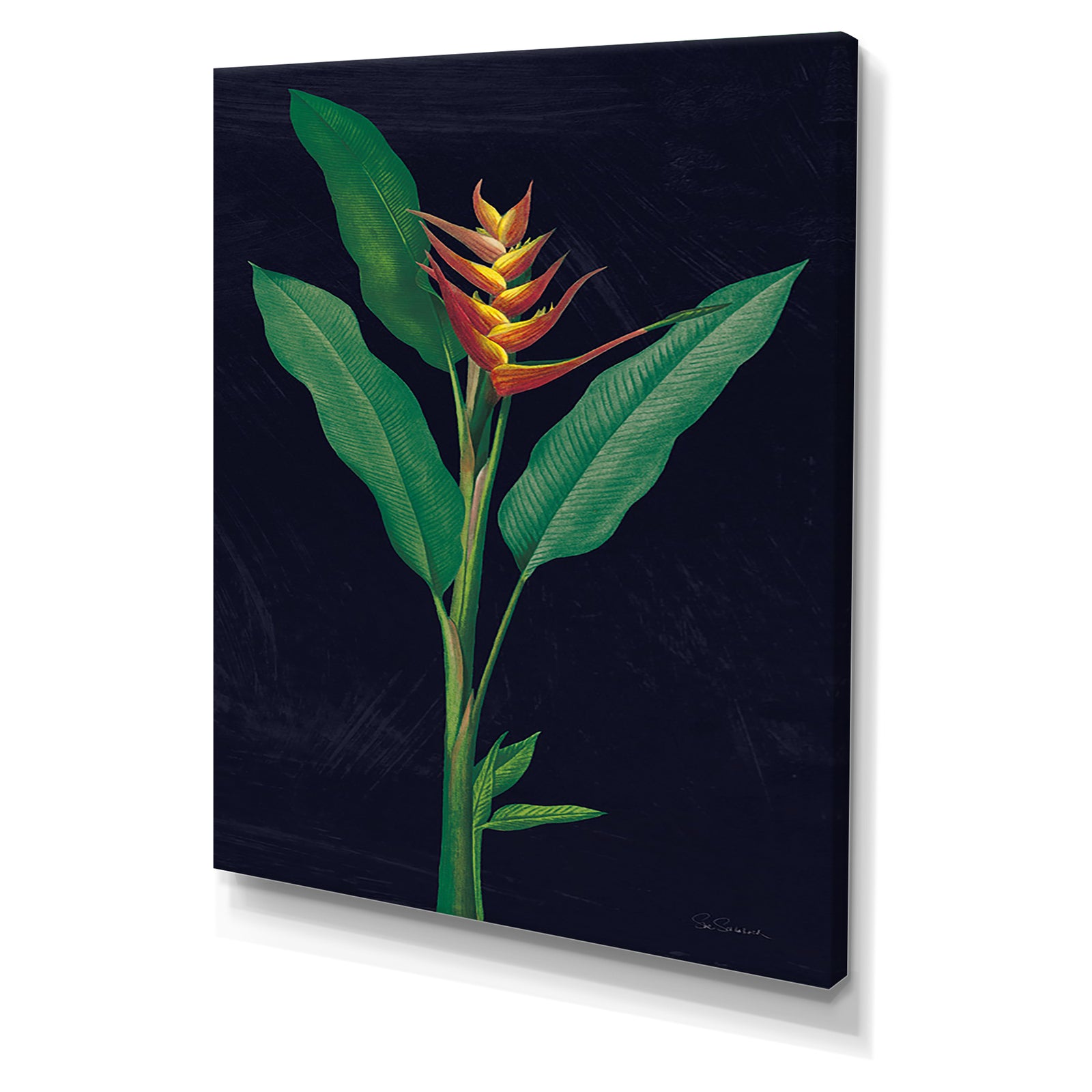 Dramatic Tropical IV - Tropical Canvas Wall Art