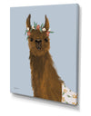 Delightful Alpacas II - Cottage Canvas Wall Art