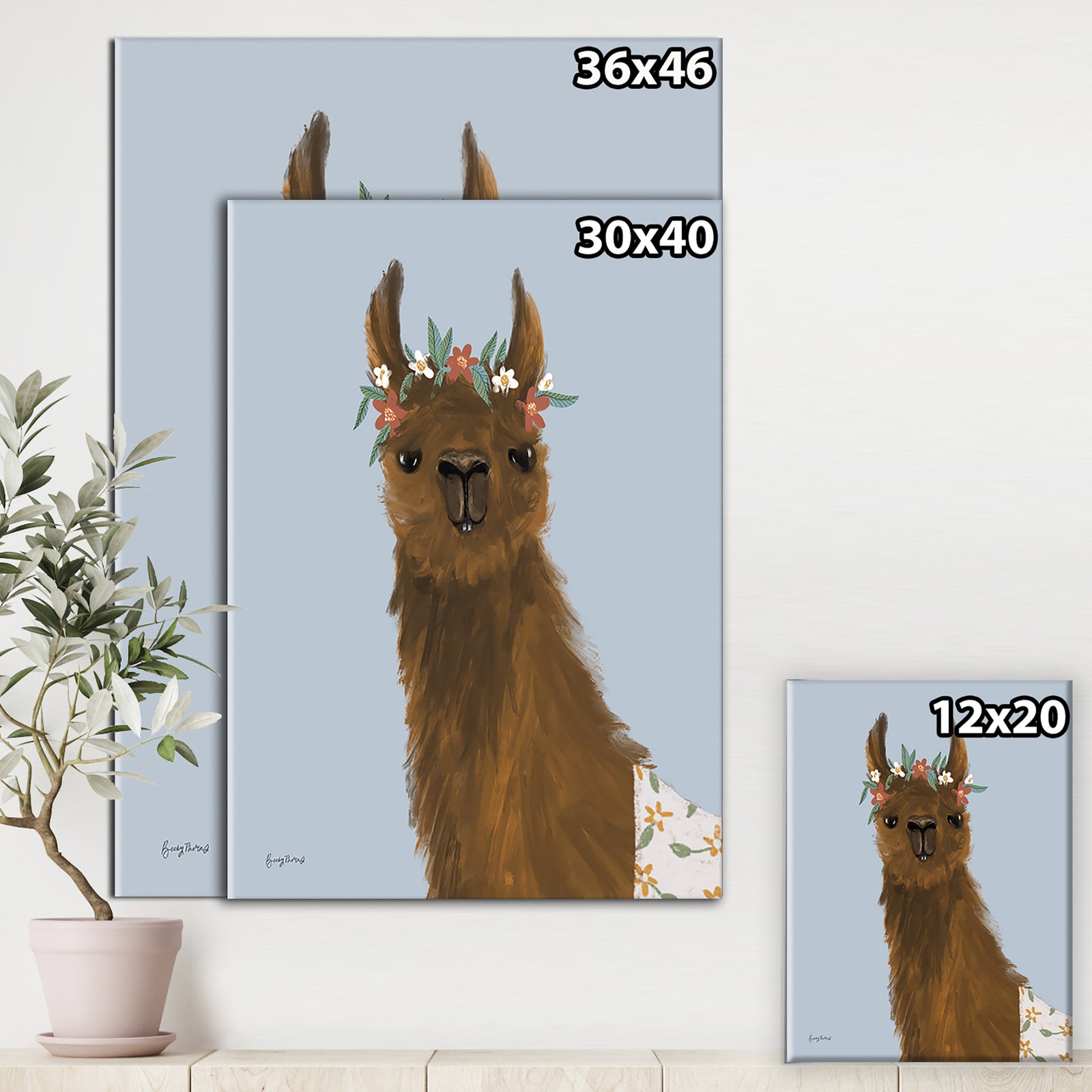 Delightful Alpacas II - Cottage Canvas Wall Art