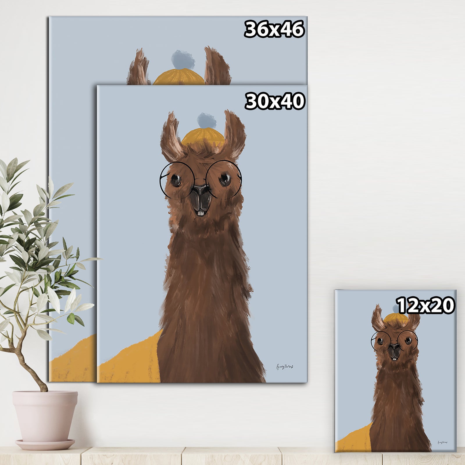 Delightful Alpacas III - Cottage Canvas Wall Art