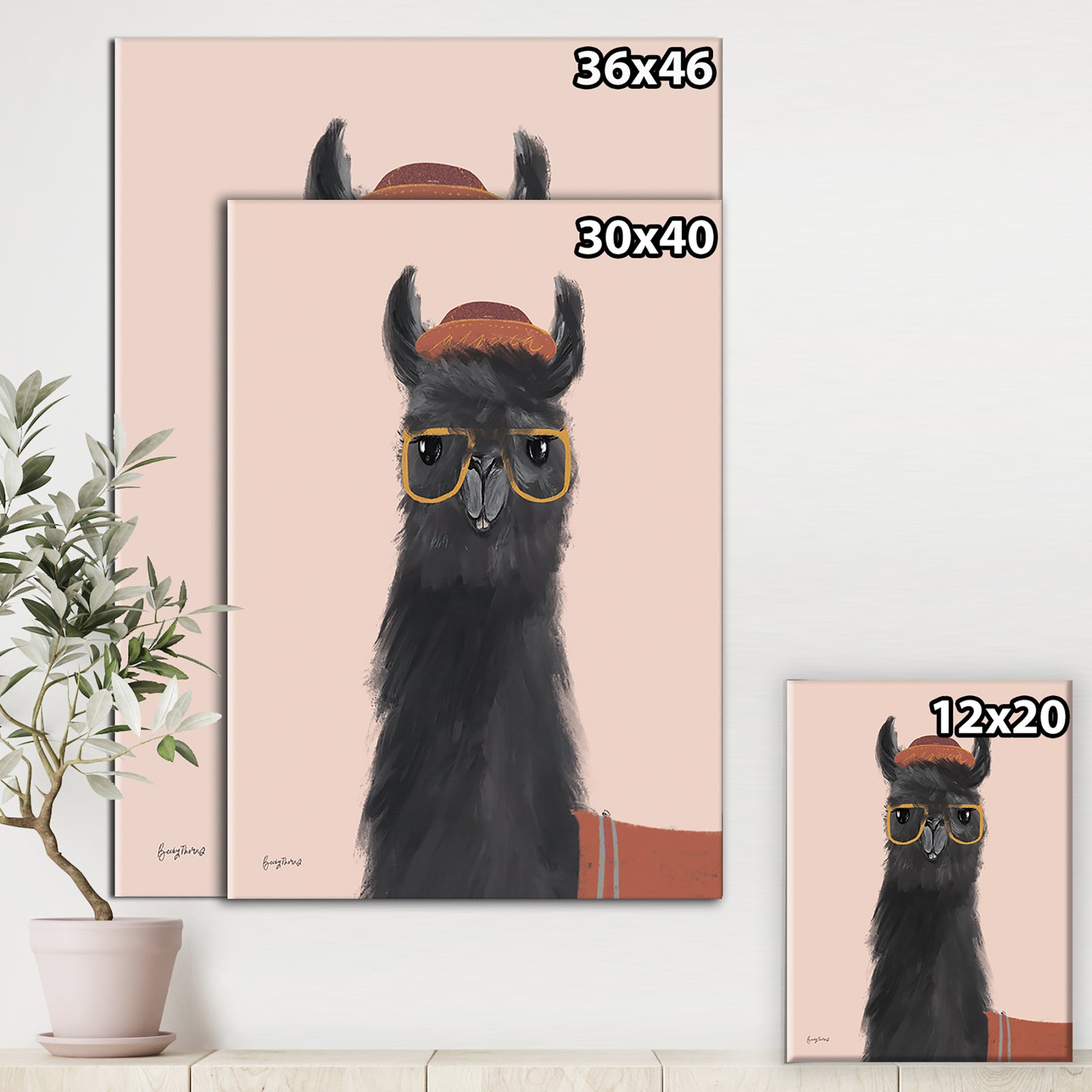 Delightful Alpacas IV - Cottage Canvas Wall Art