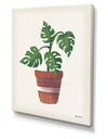 Greenhouse III - Cottage Canvas Wall Art