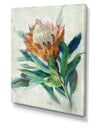 RW Protea - Cottage Canvas Wall Art