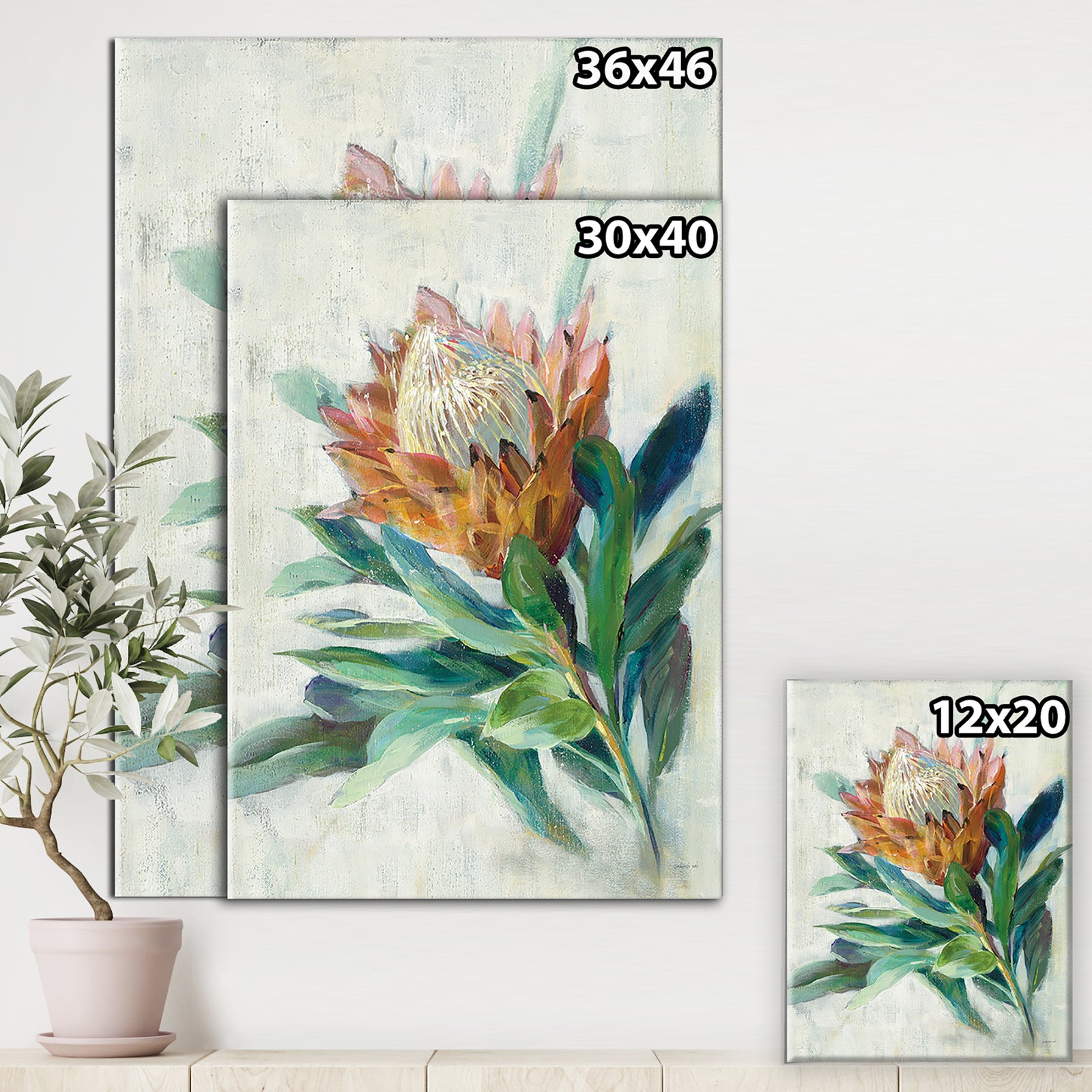 RW Protea - Cottage Canvas Wall Art