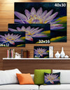 Purple Lotus Flower - Floral Canvas Print