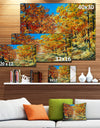 Bright Day in Autumn Forest - Landscape Canvas Artwork