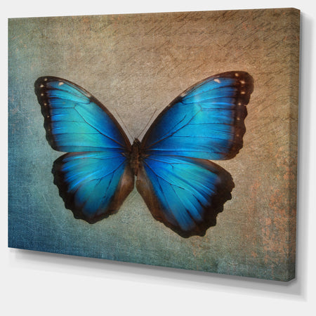 Blue Vintage Butterfly - Floral Canvas Art Print