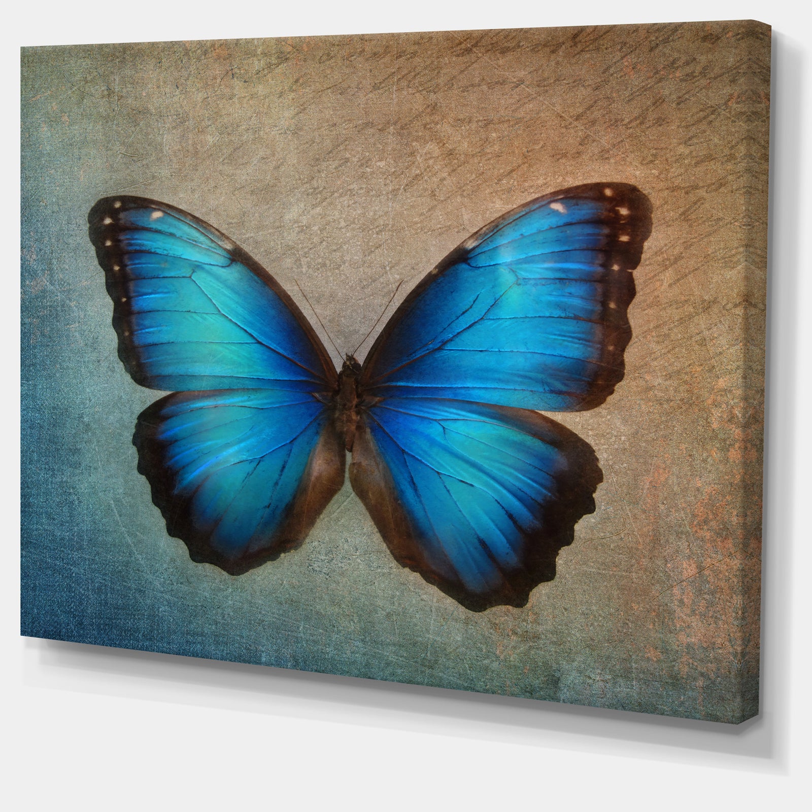 Blue Vintage Butterfly - Floral Canvas Art Print