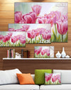 Tulips in a Row - Floral Canvas Artwork